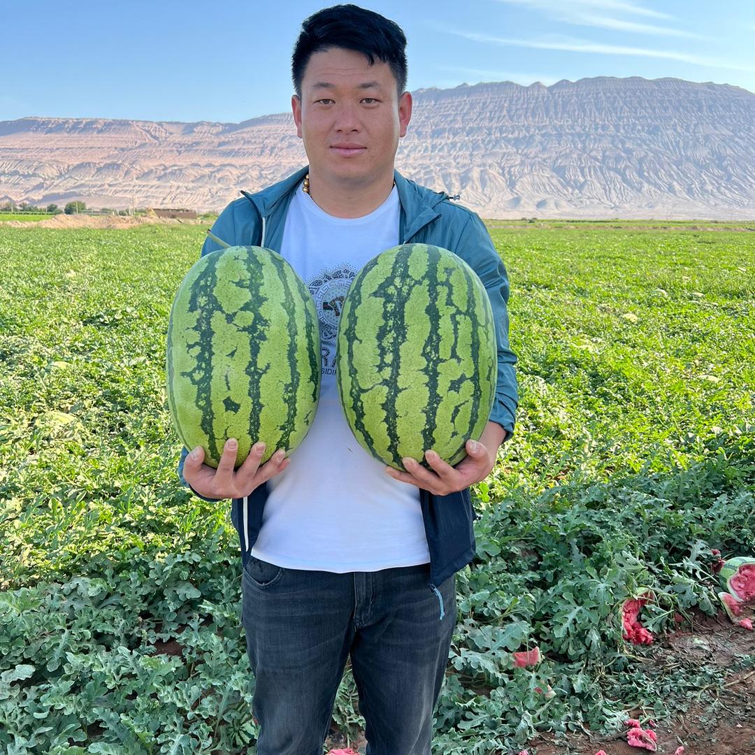 高家大少