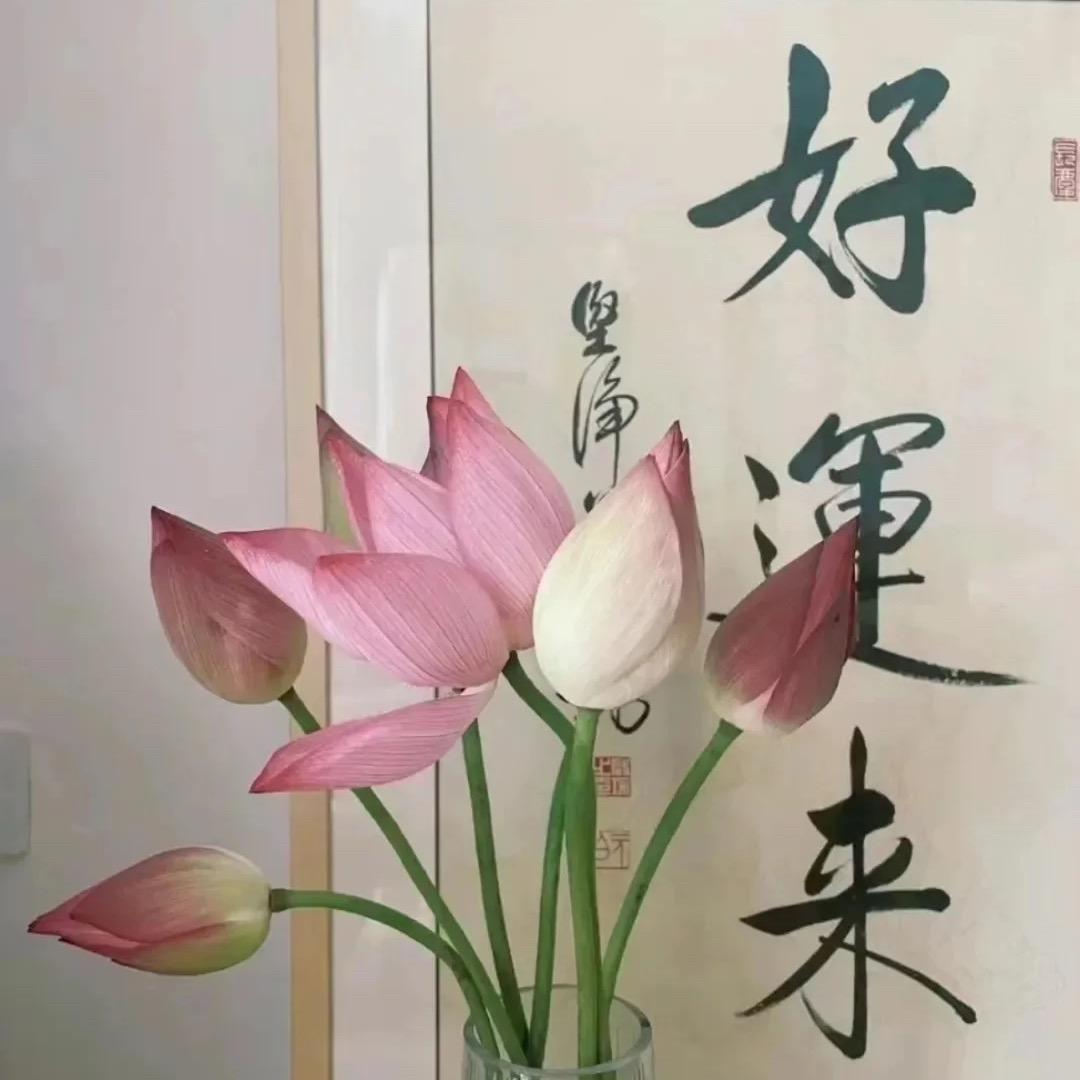诸事皆顺