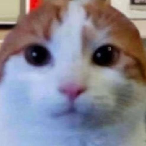 豆包不吃豆馅儿