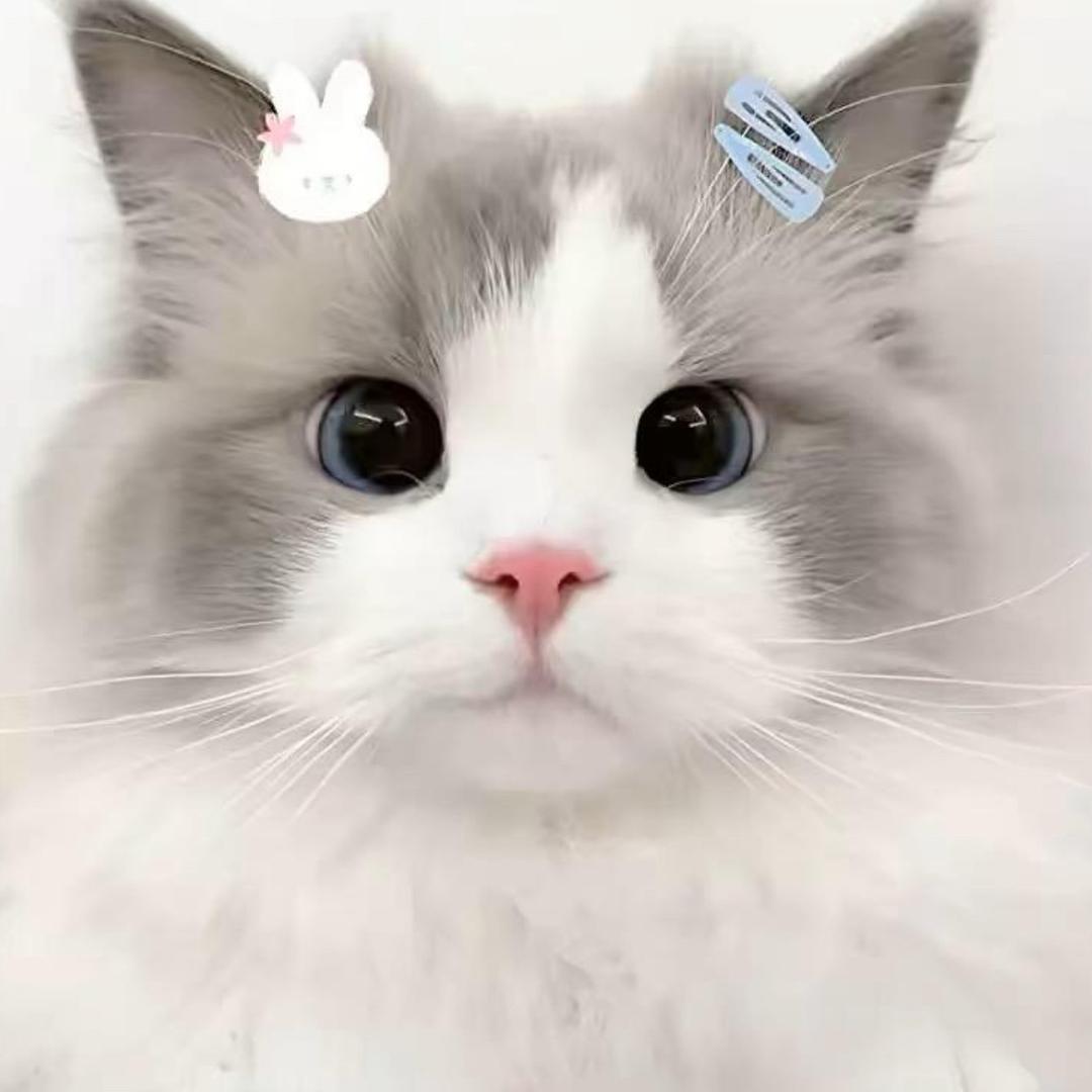 宝宝~