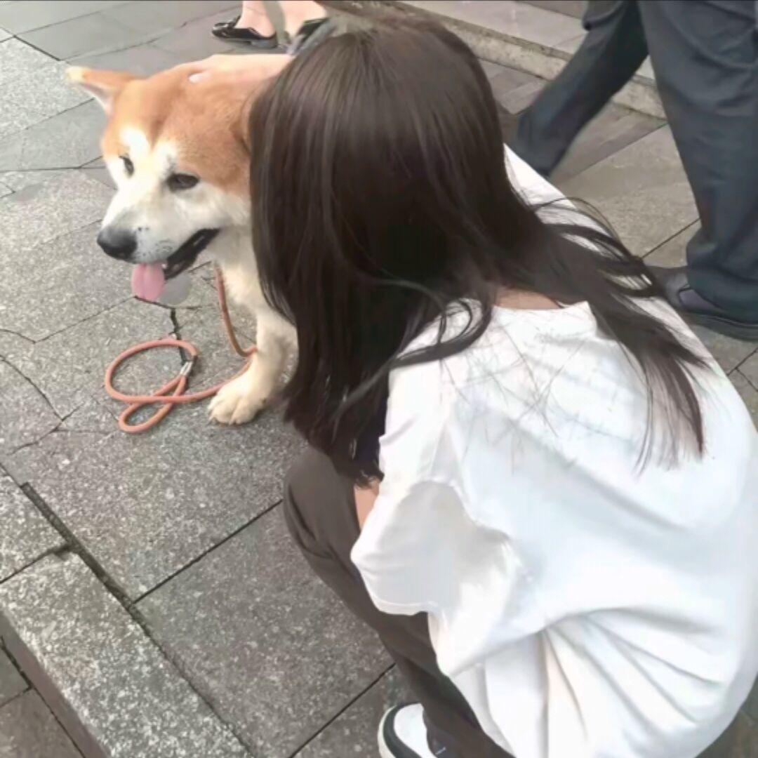 名字很长总有傻子跟着读