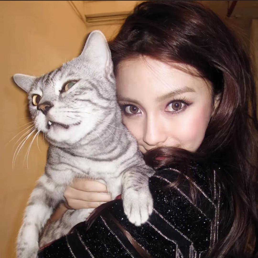 小巴士