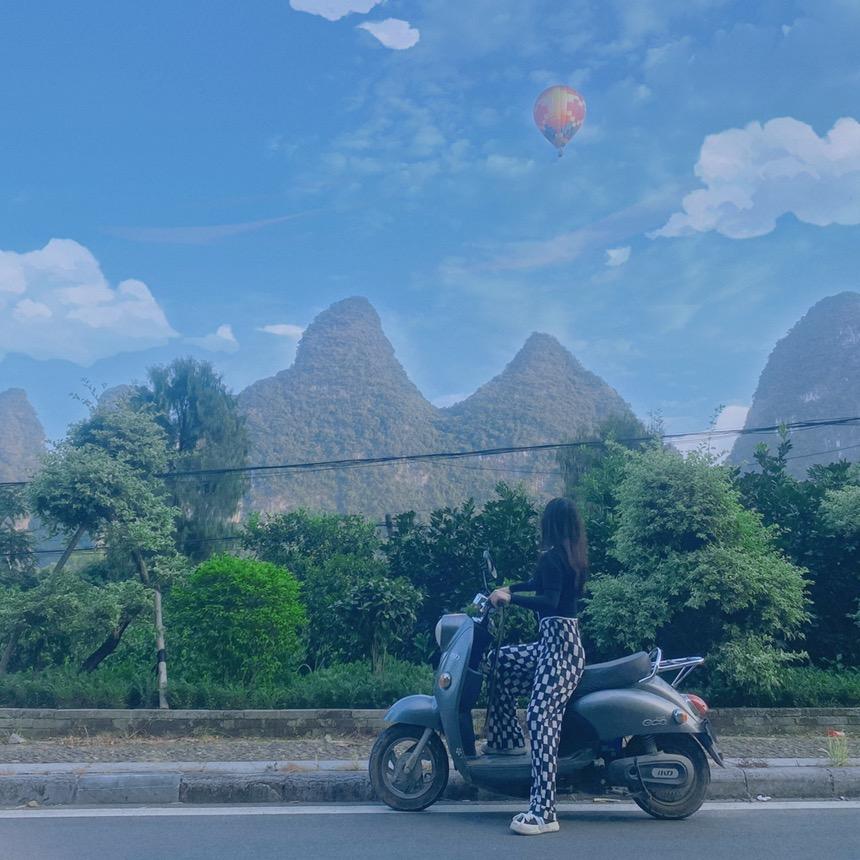 '小树懒'💨