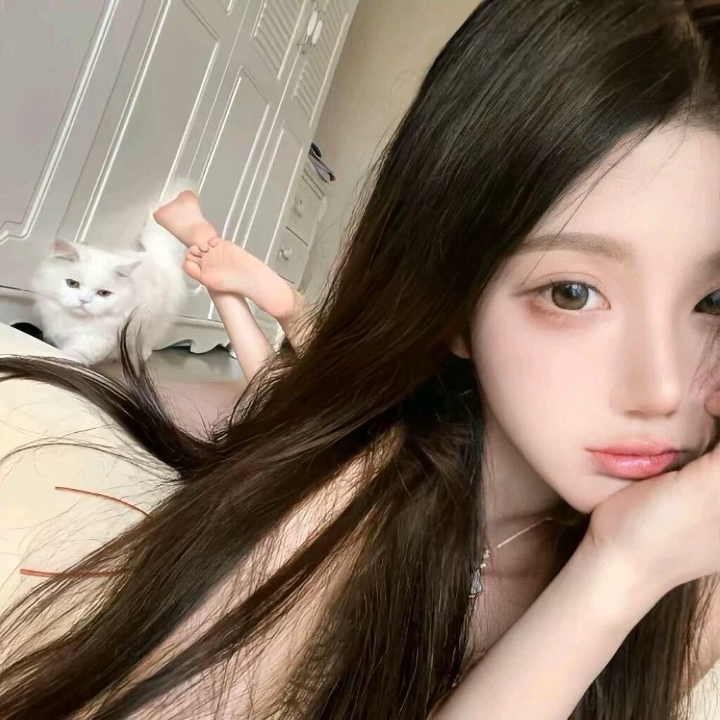 ㅤㅤㅤㅤㅤㅤ