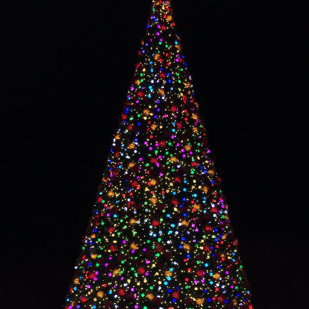 南阳市学成教育咨询服务有限公司