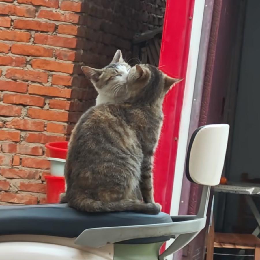 ぇ慧 慧ᶻᵇ
