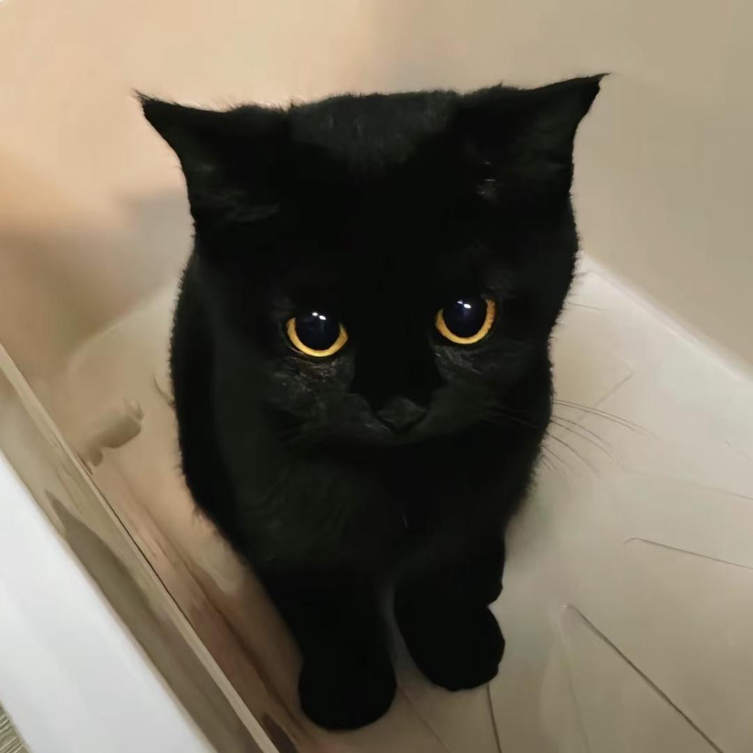 前任