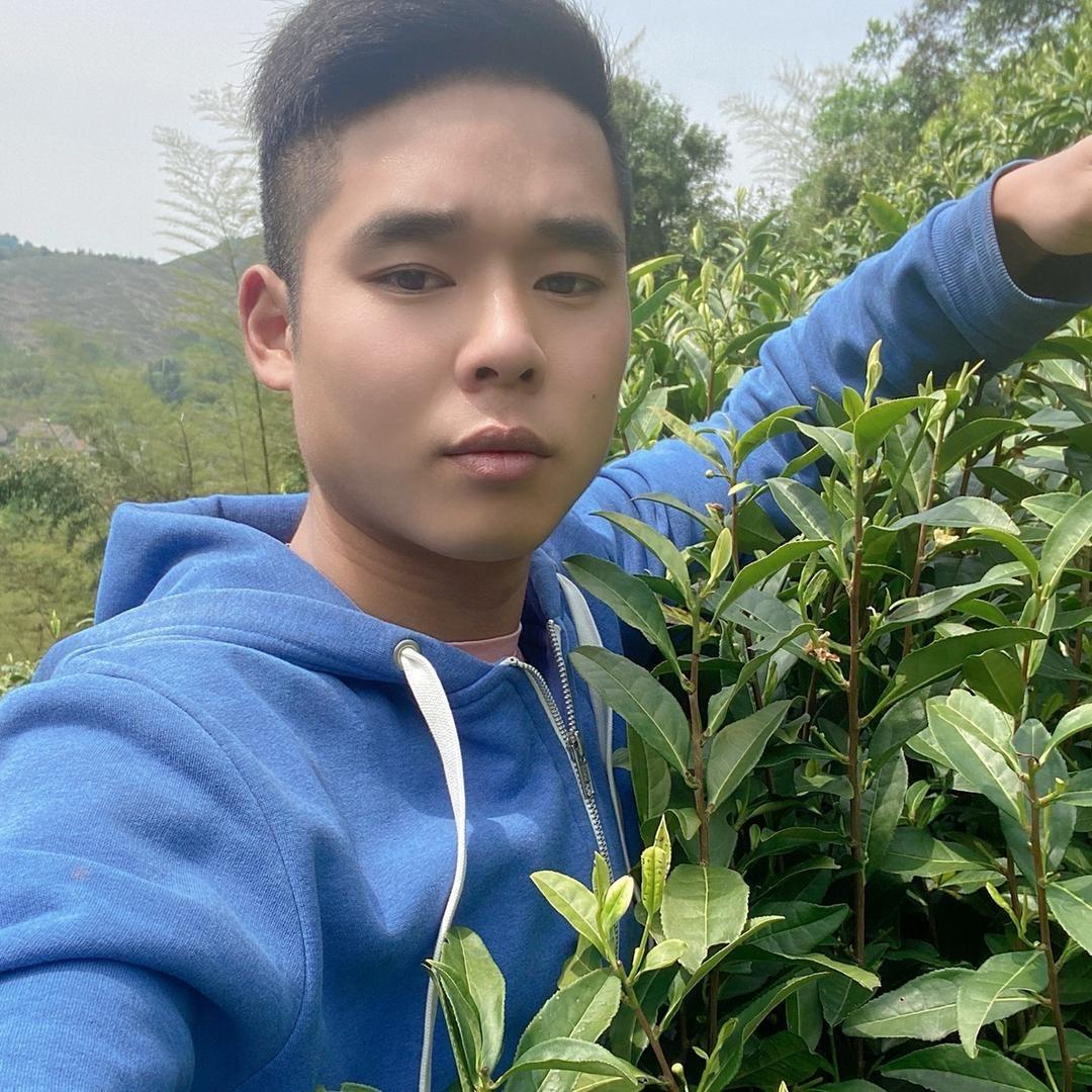 阿涛白茶
