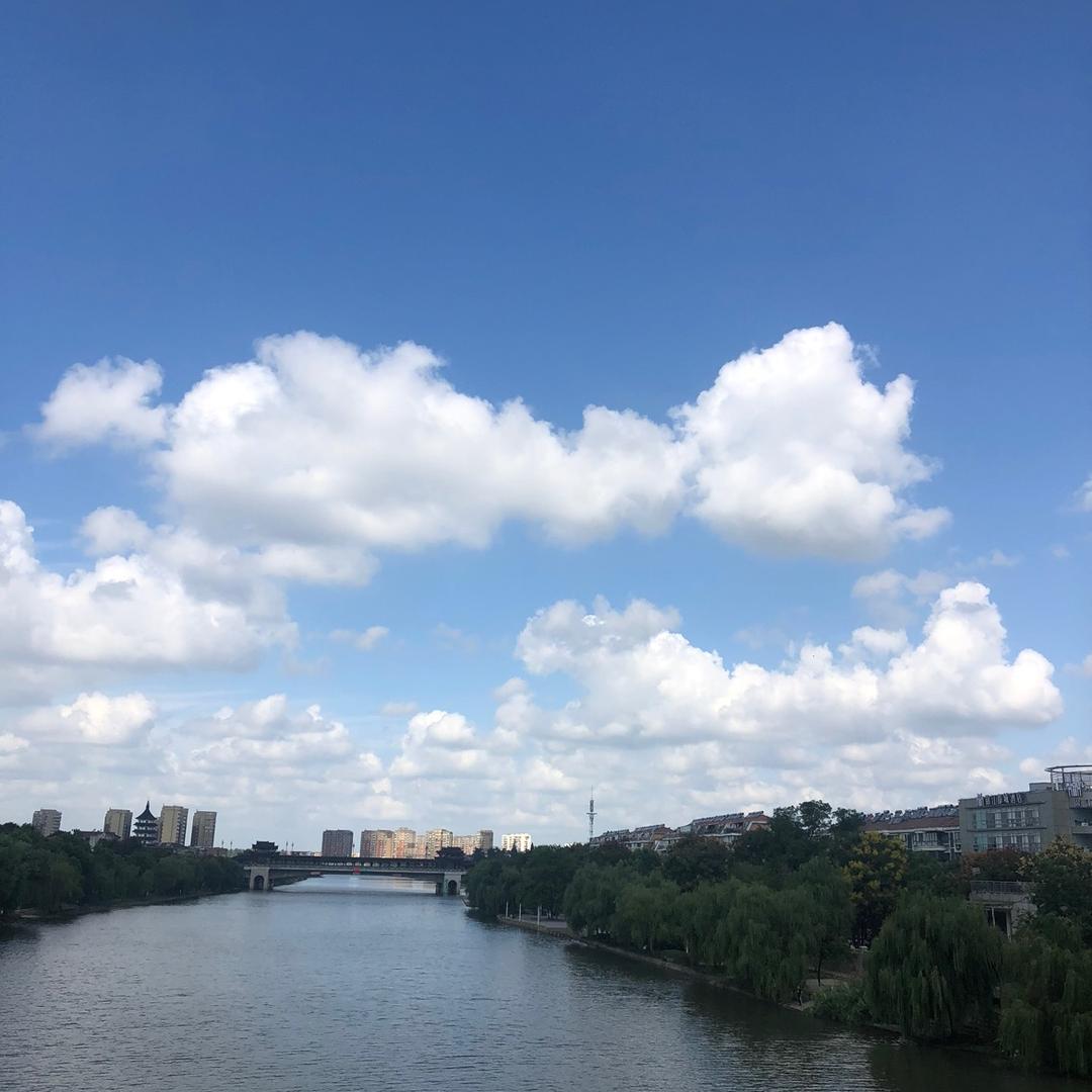 小仙子