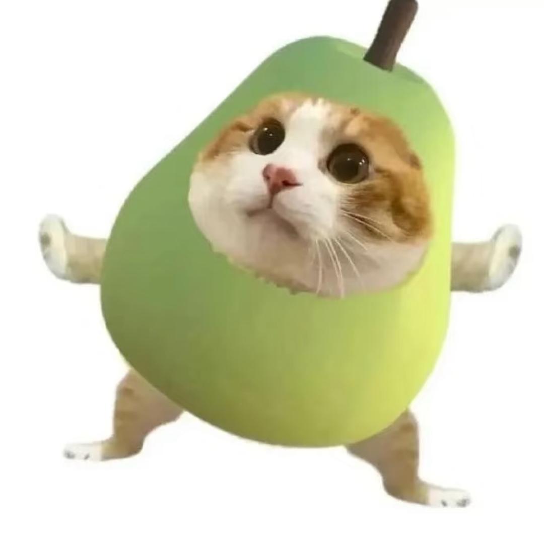 663喽头像