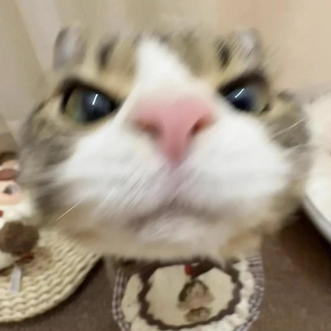 一个点