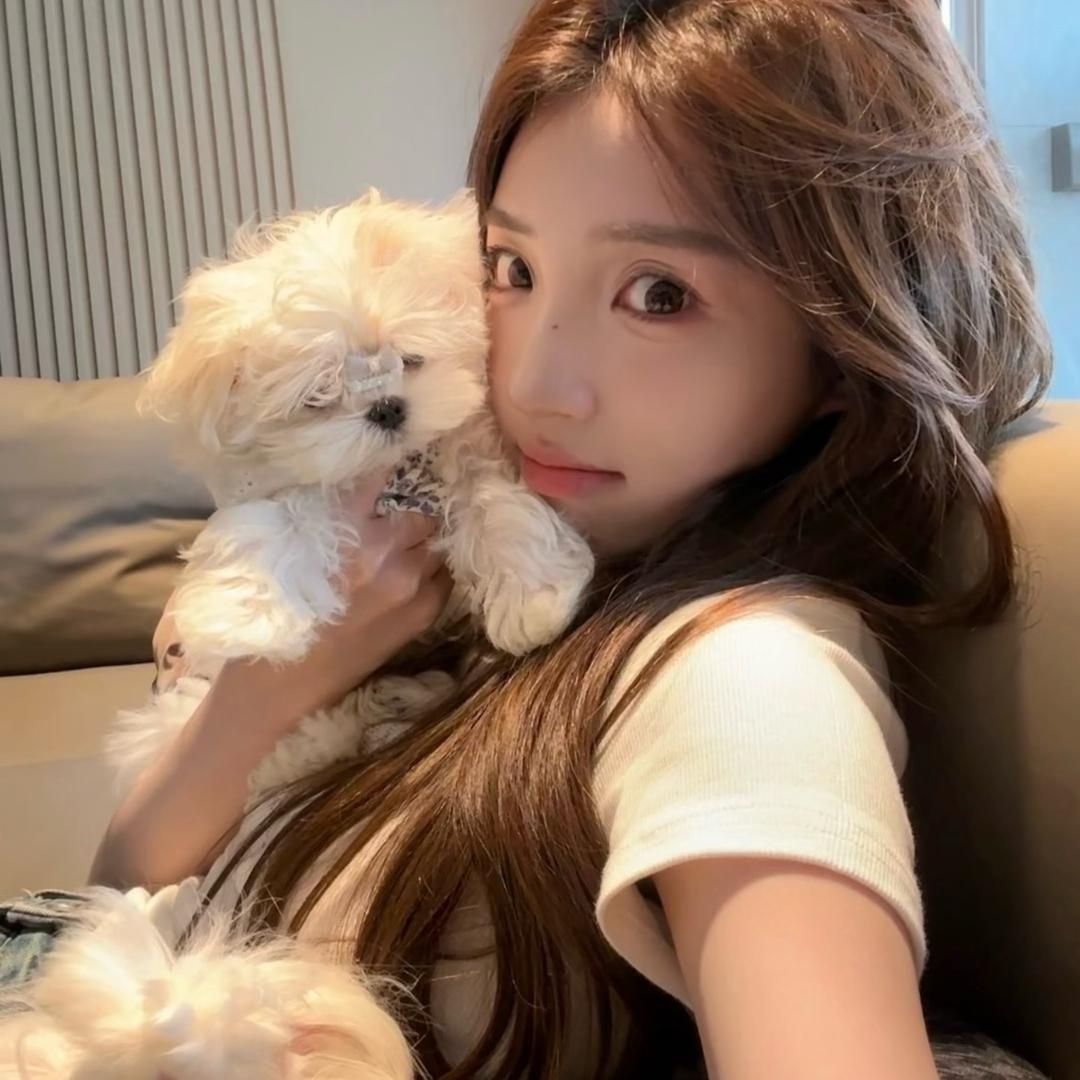 晕头小狗🐕‍🦺