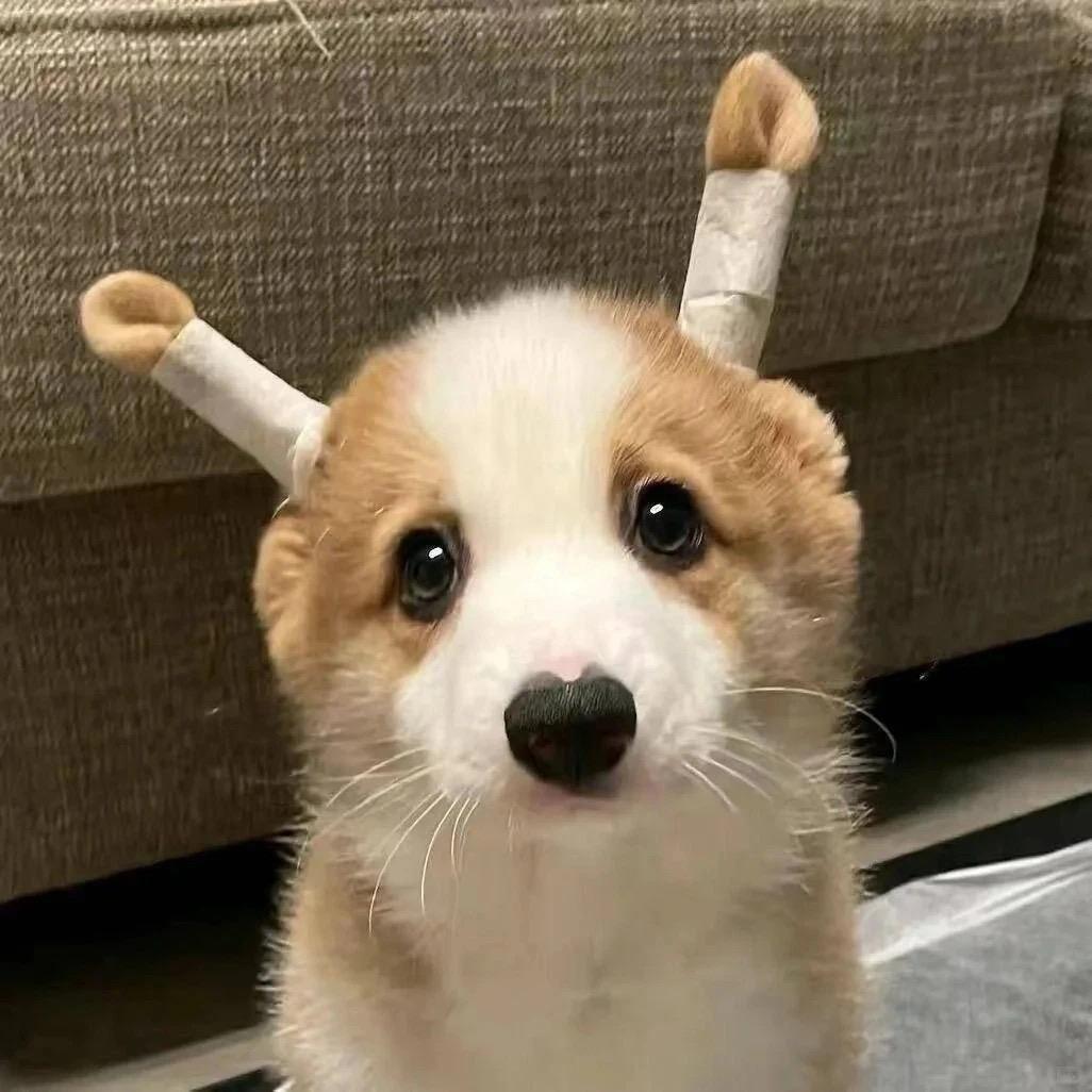 ！
