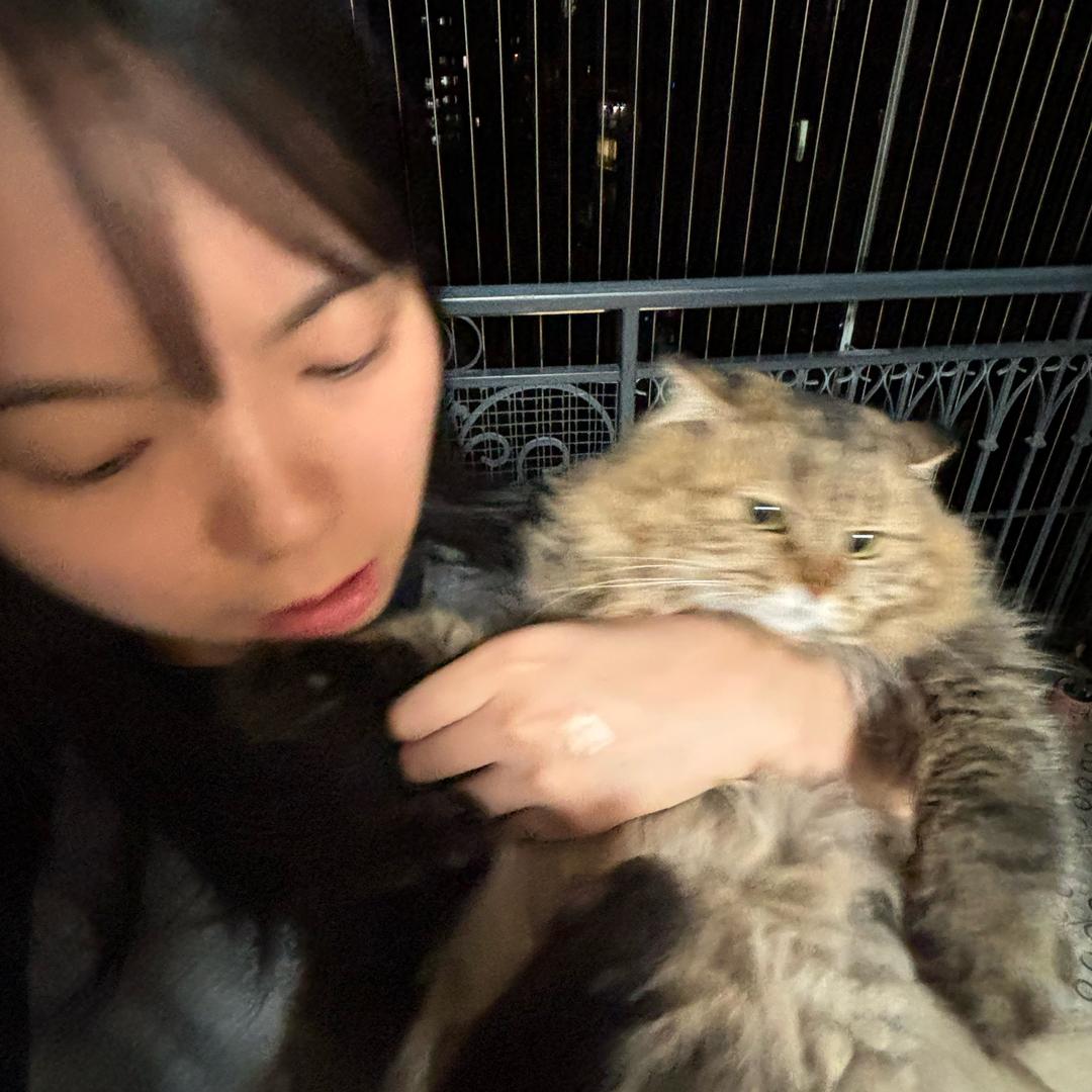 背了考研英语就是兵