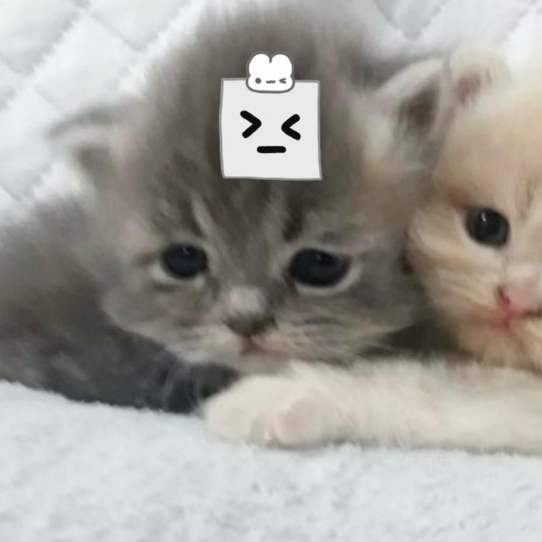 君莫笑
