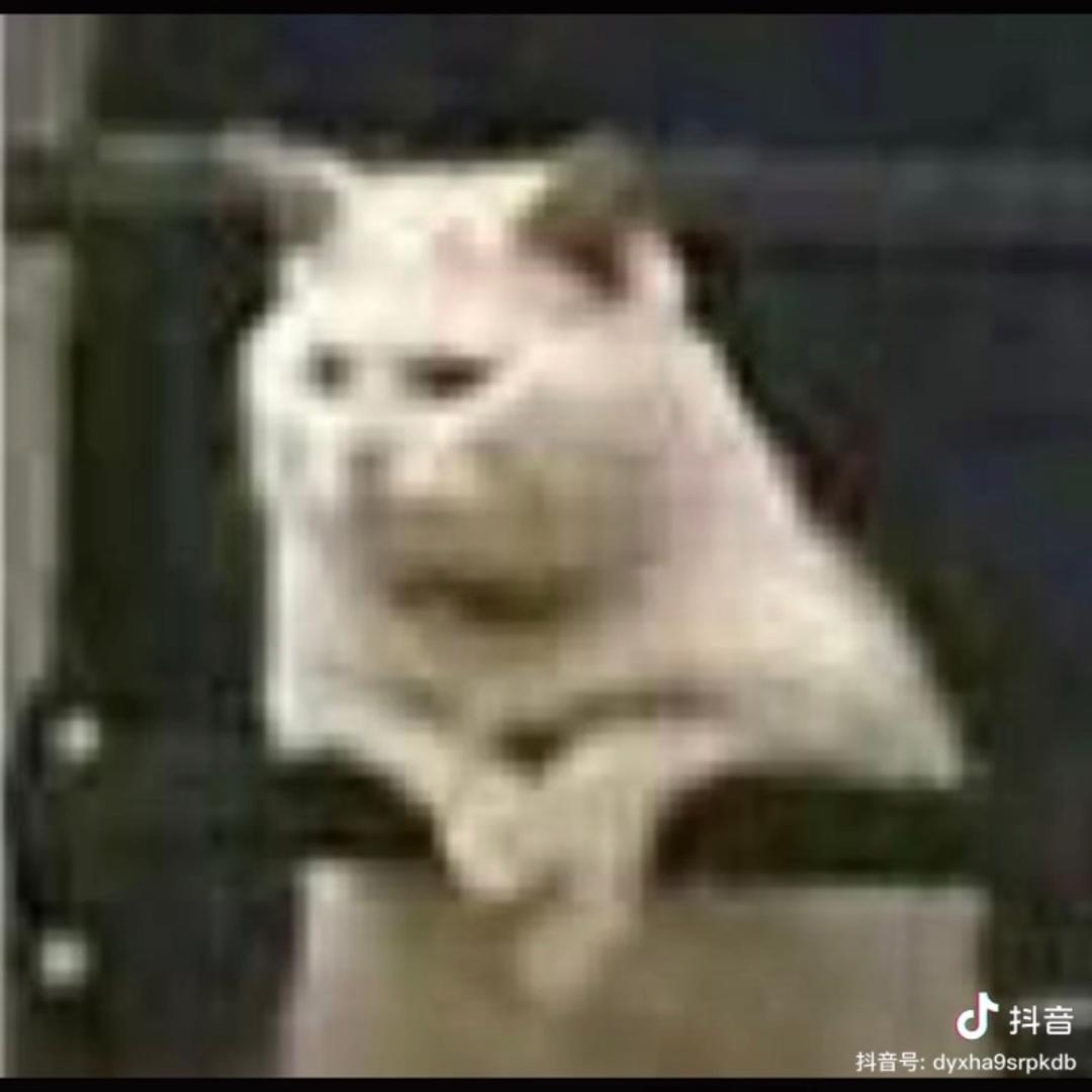 丁真纯一郎