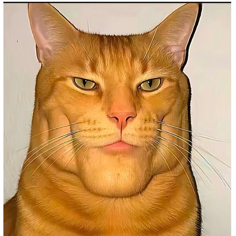 摆烂懒猫