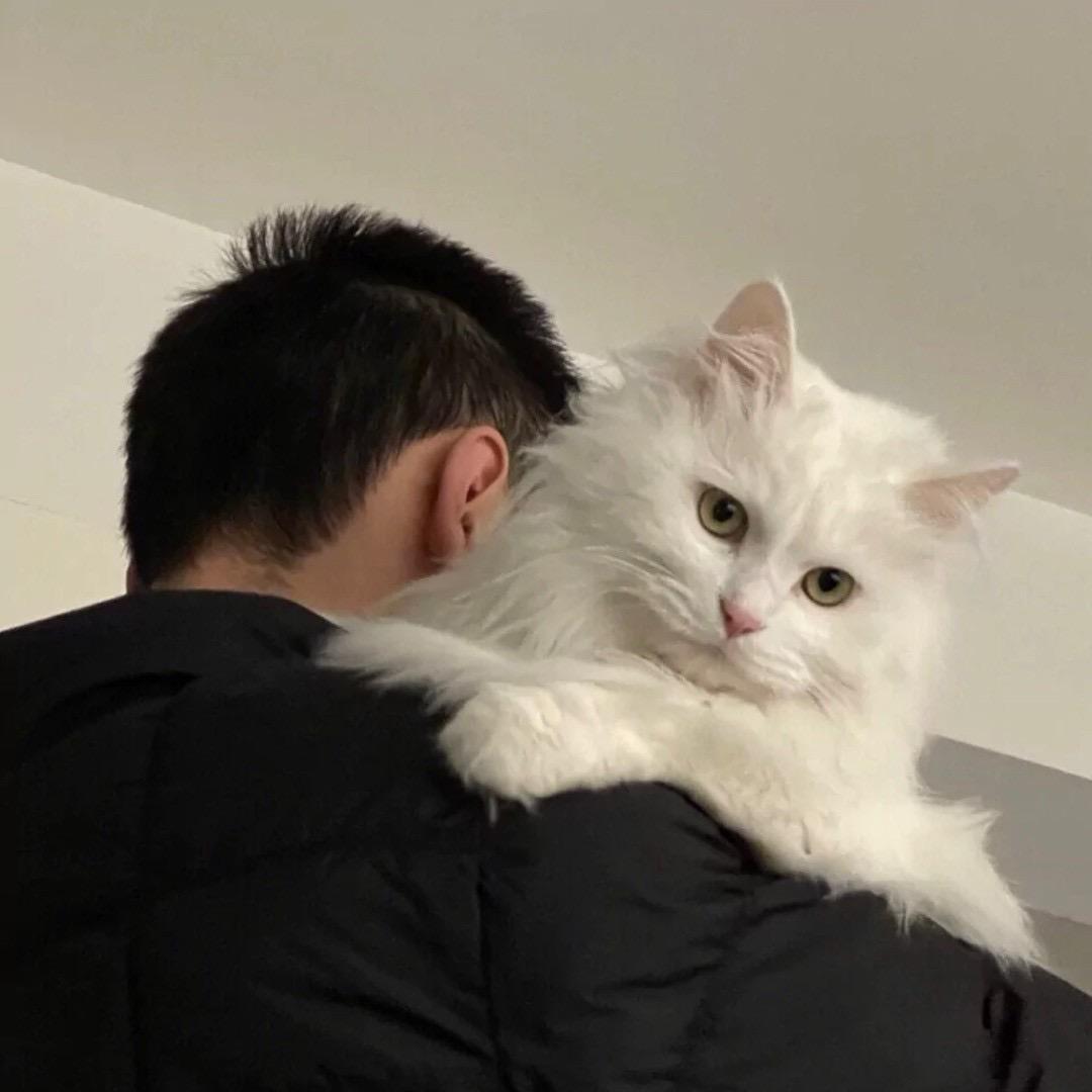 鑫鑫✨