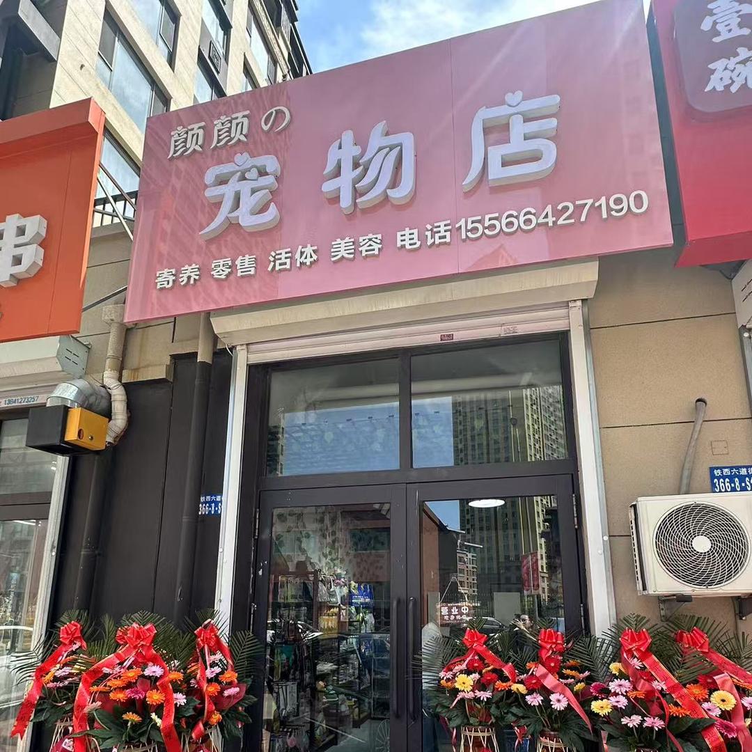 颜颜宠物店