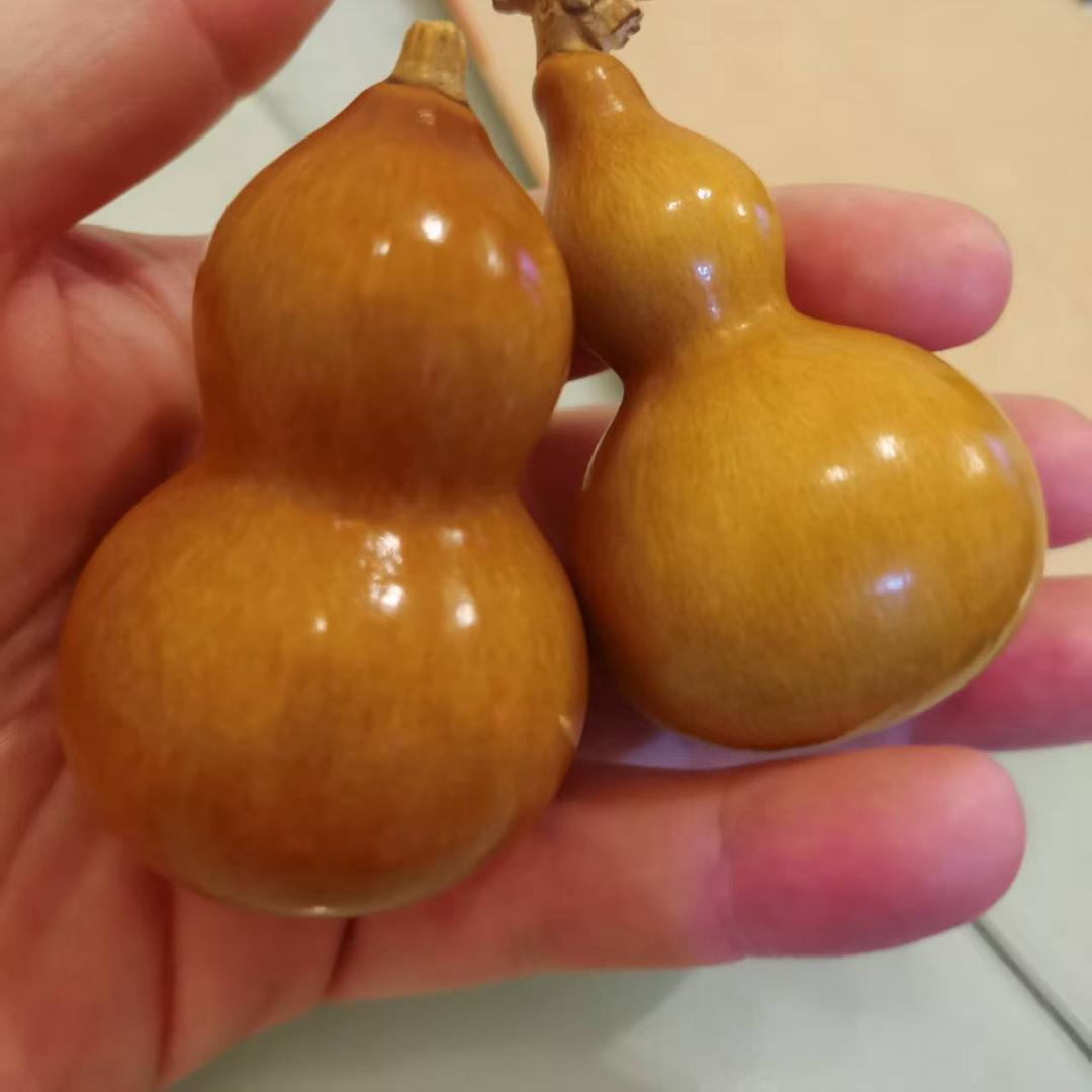 5家连锁店（招学员）