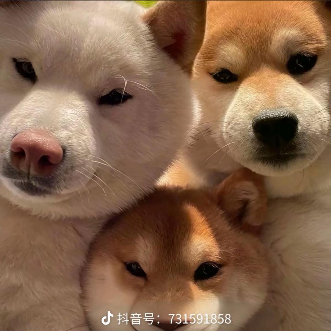 수천 마일 떨어진 곳