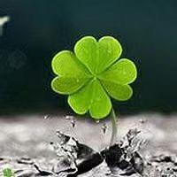 青🍀