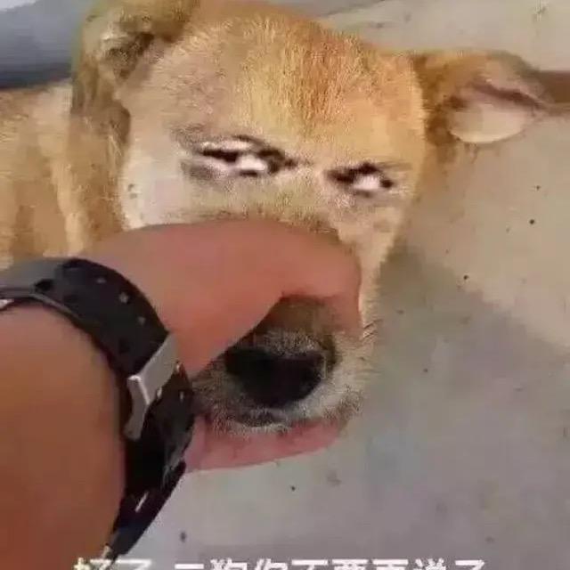 大公鸡