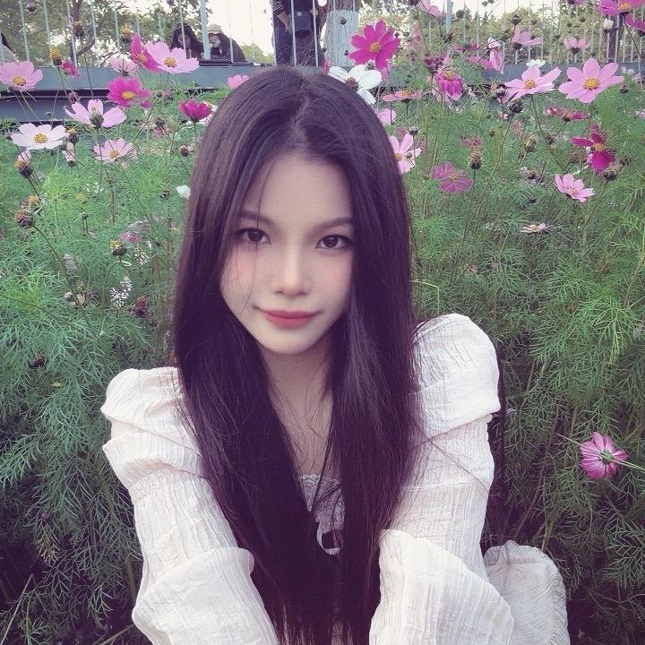 🦋十安