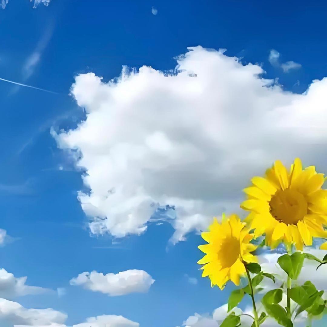 朵朵的宝藏好物