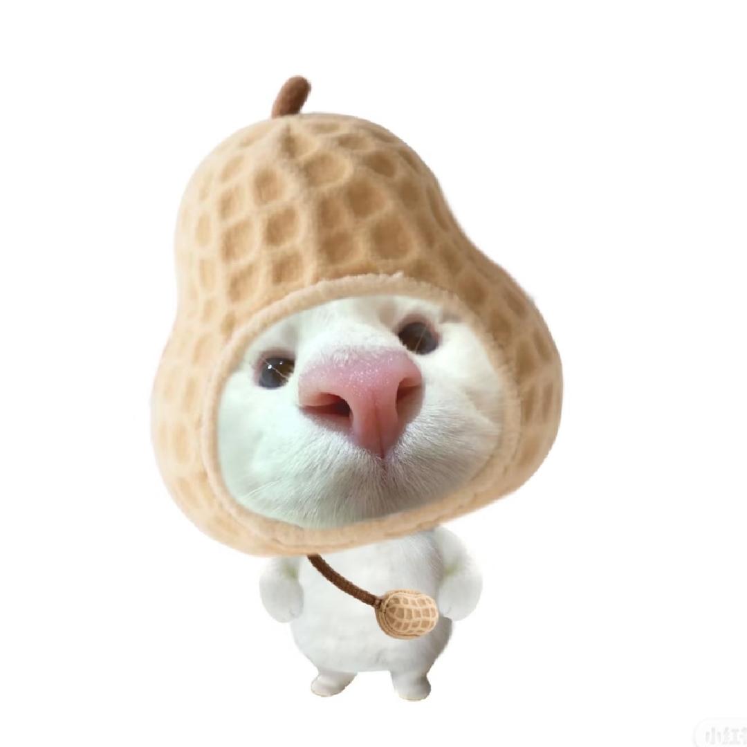 琦琦的小铺