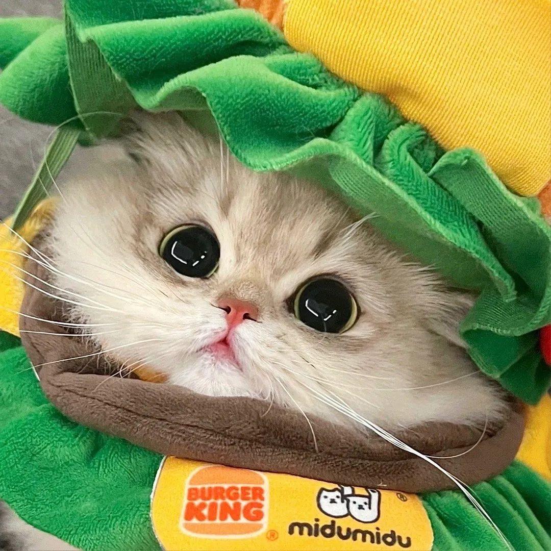 🦖