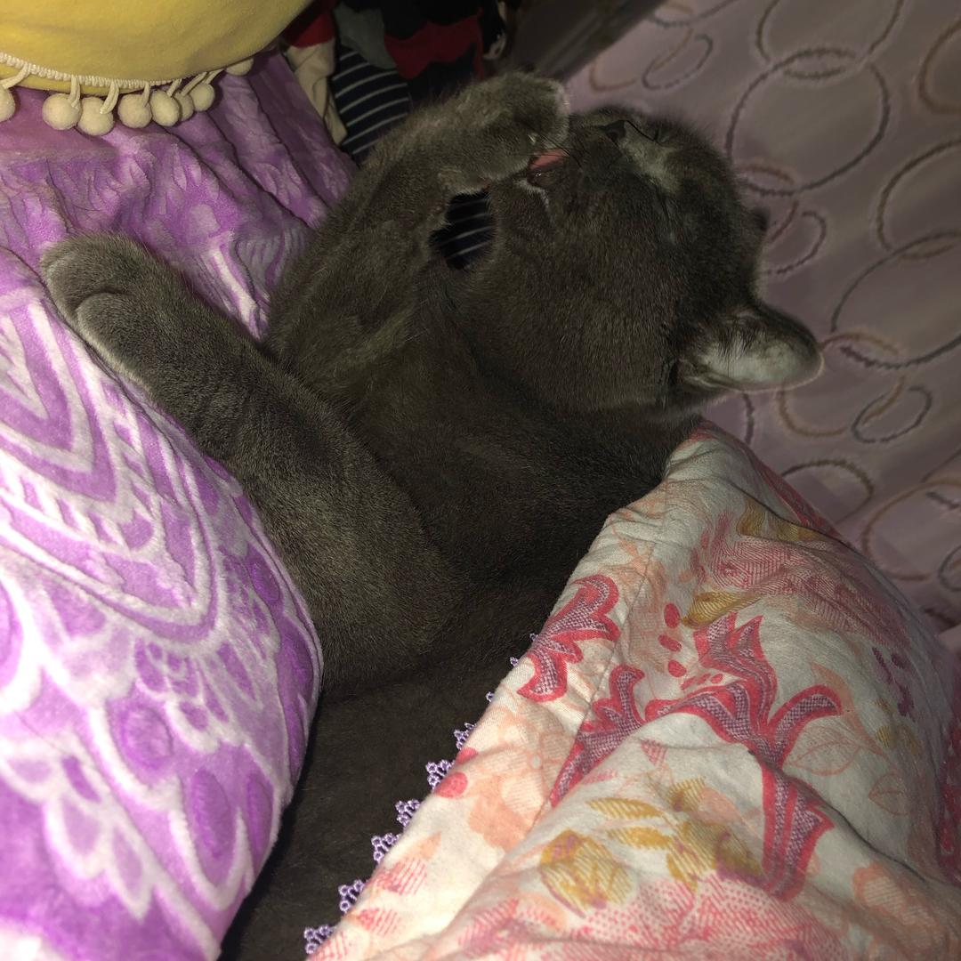 哎👉🏻女神经💋