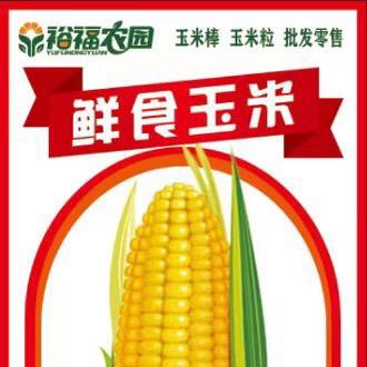 玉米姐👌裕福农园速冻玉米批发