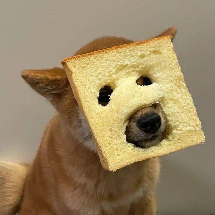25625