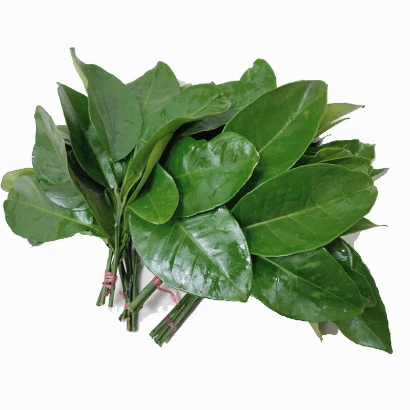 福气钱财四面八方来耶