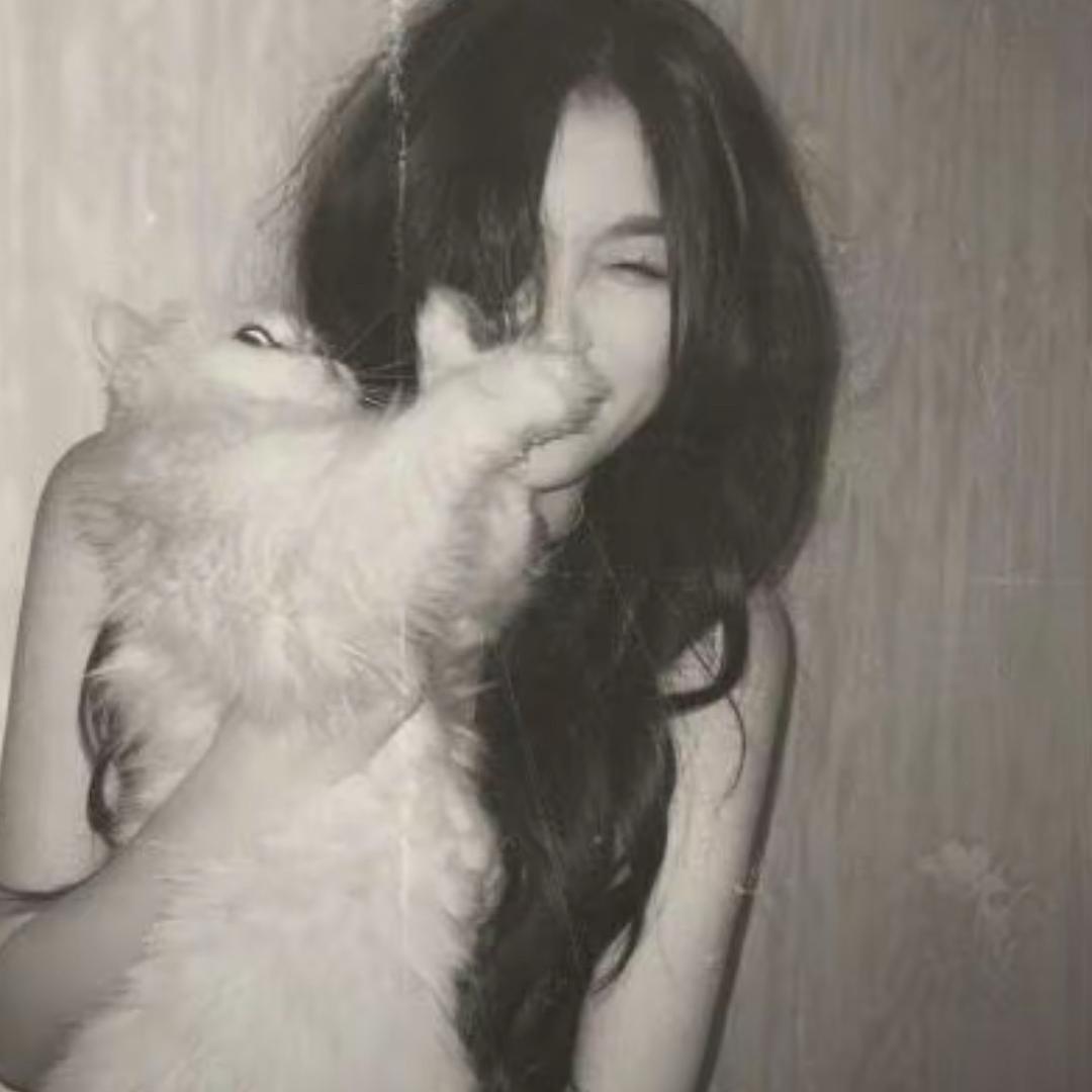 马卡多猫