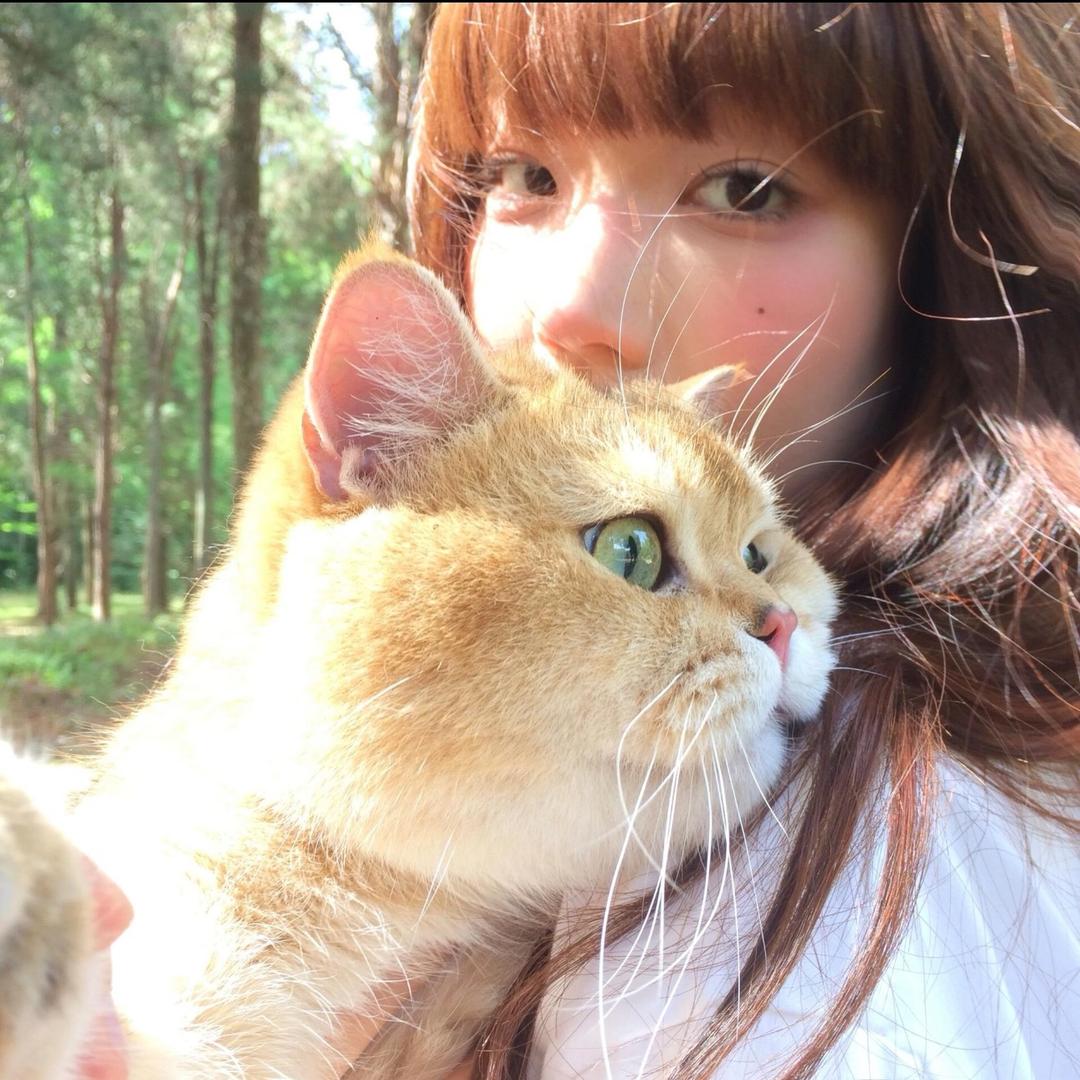 暴躁小U鱼