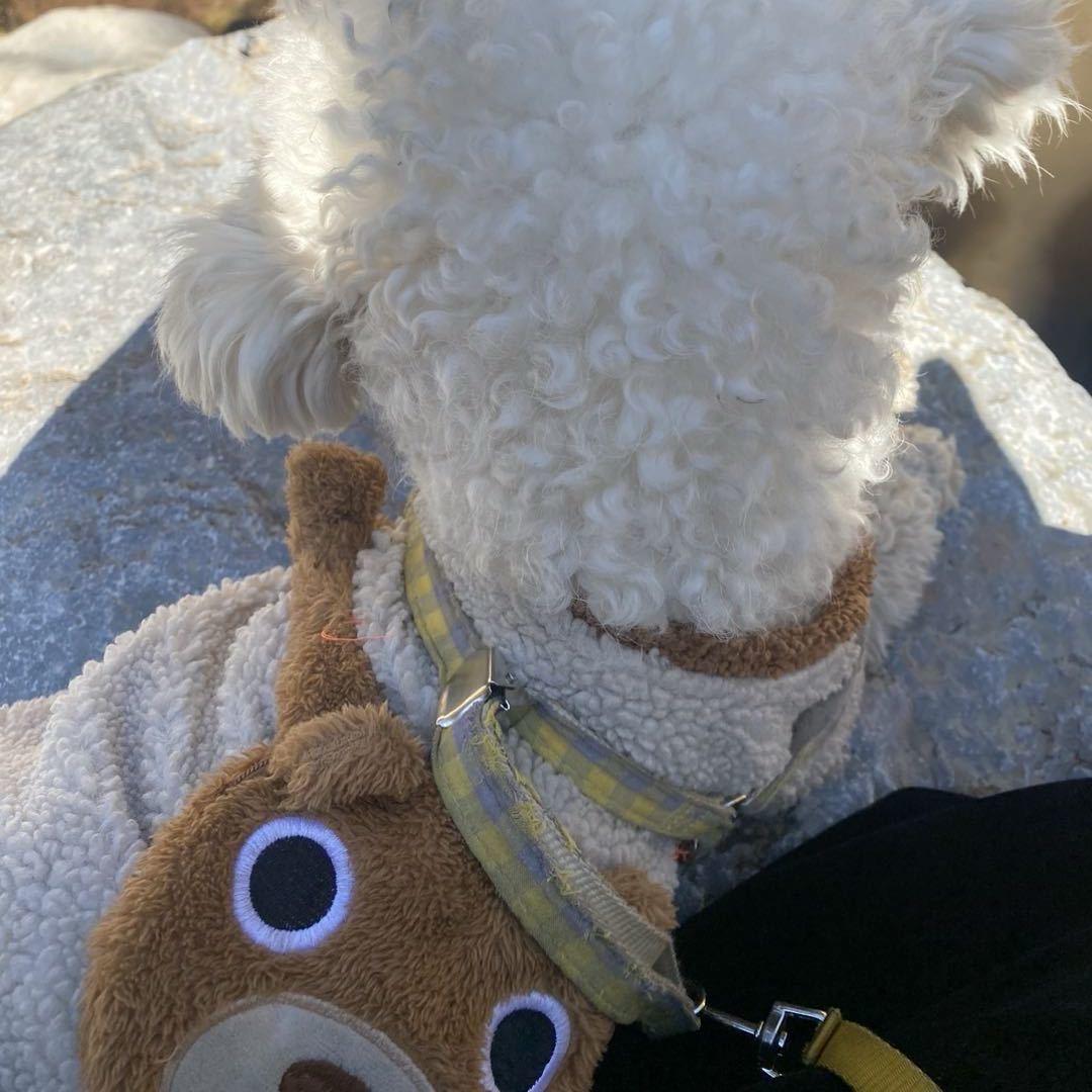 虫虫⚈้̤͡ ˌ̫̮ ⚈้̤͡"