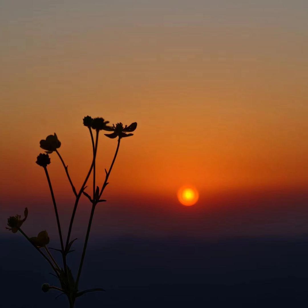 岳西  京爱善北京烤鸭