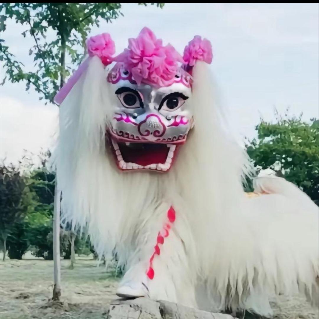 山东小白狮表演团-（团长）