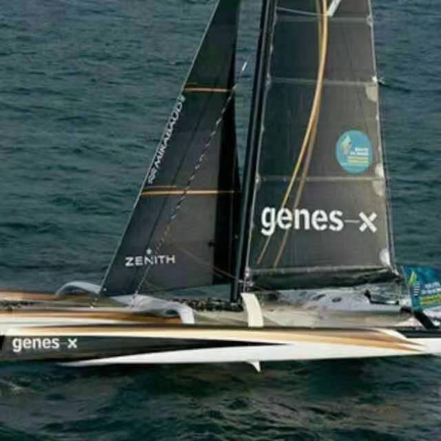 随风而行