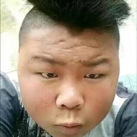 帝皇铠甲谢飞机