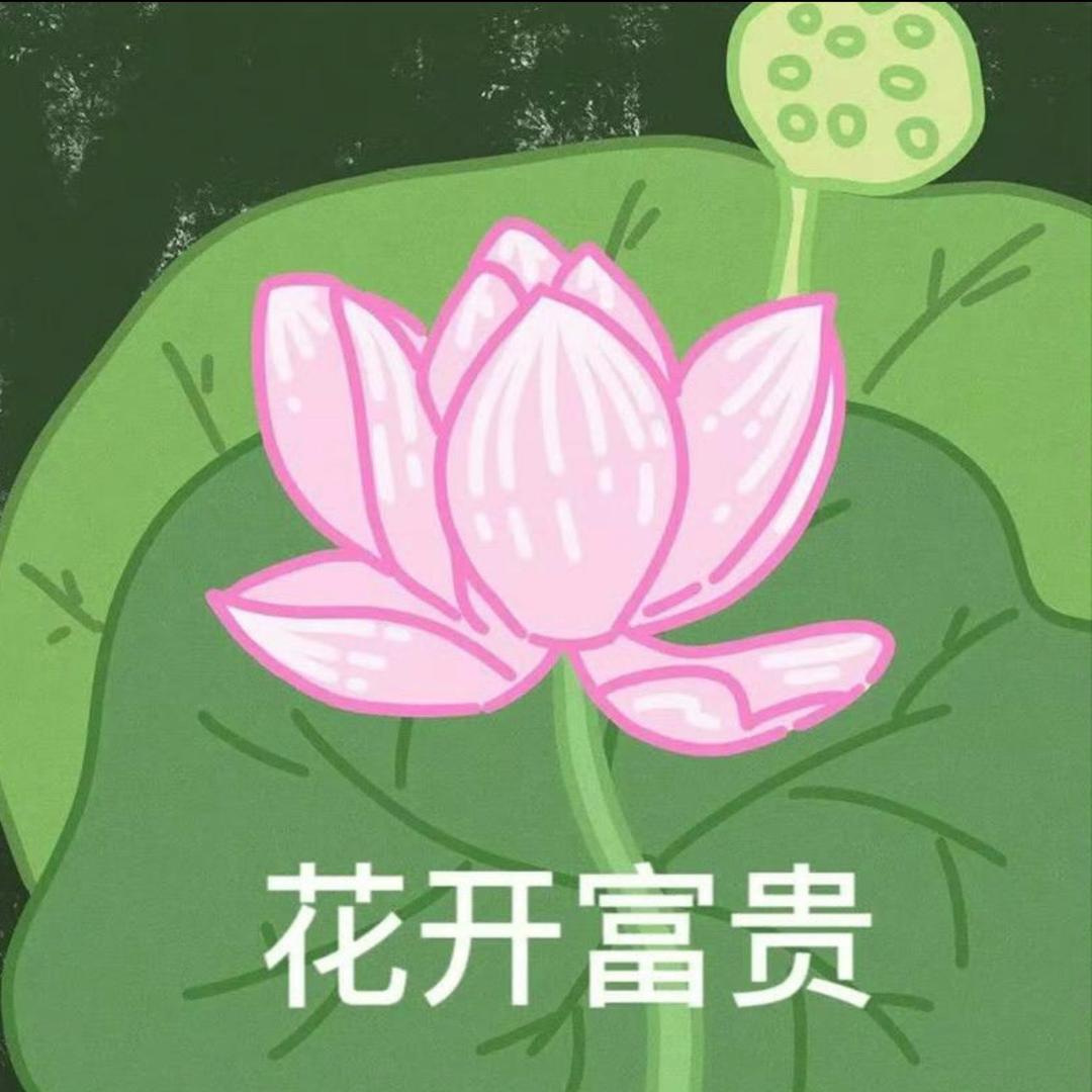 🌸开富贵