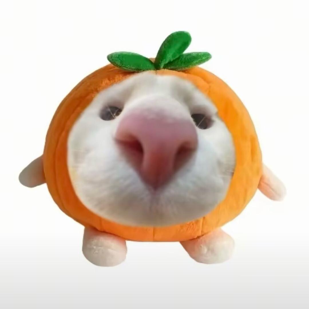 红裤衩的虫二