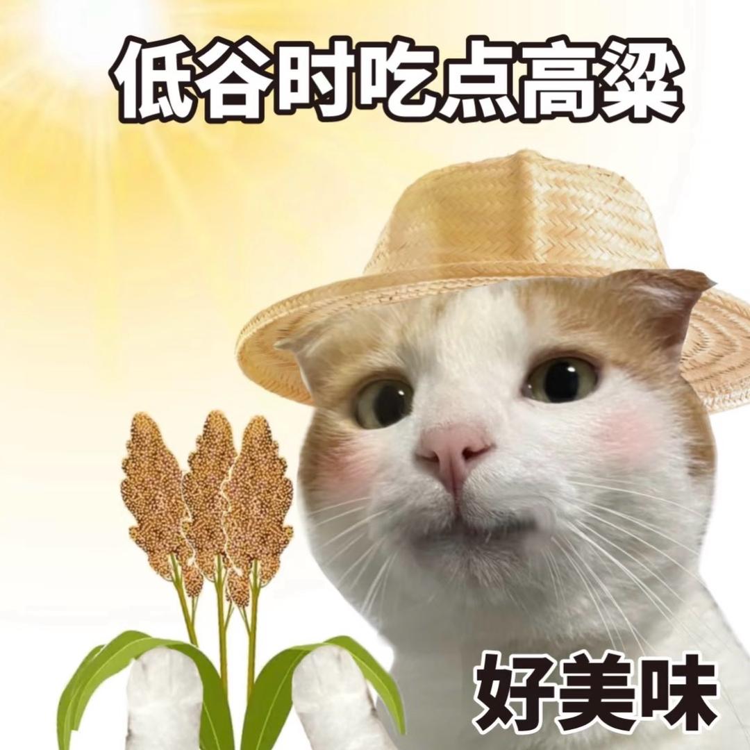 啵啵美食