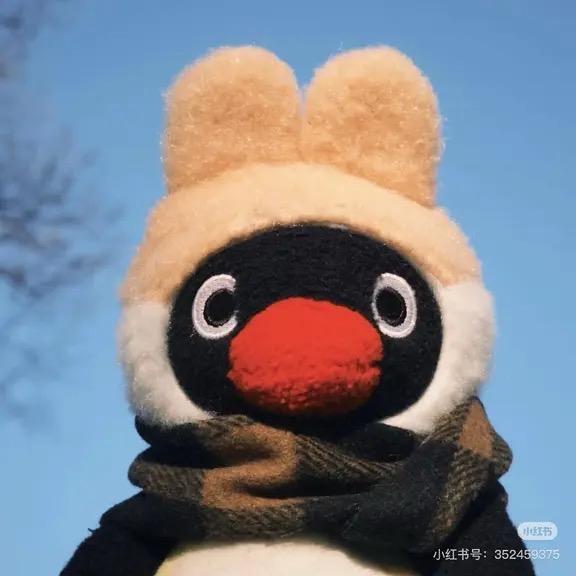 风烛残年老匹夫