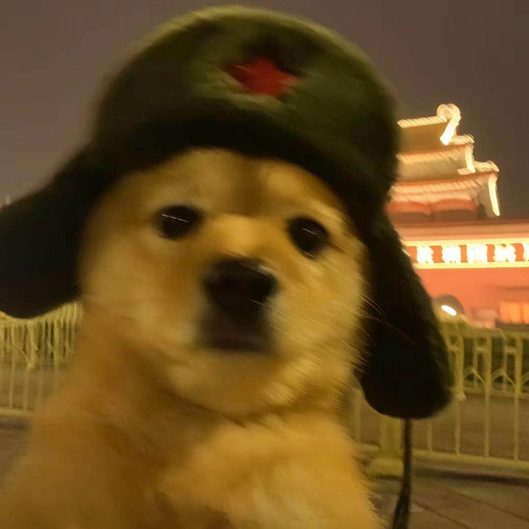 苦瓜不甜