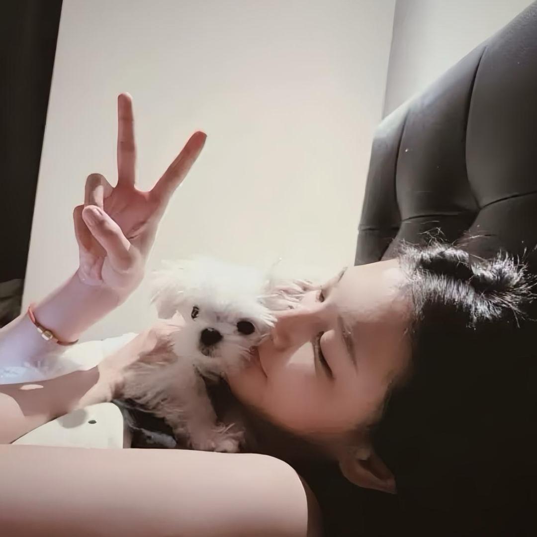 ㅤ ㅤ ㅤ 猫