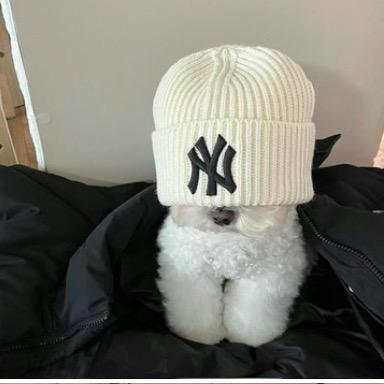 Yo-yo