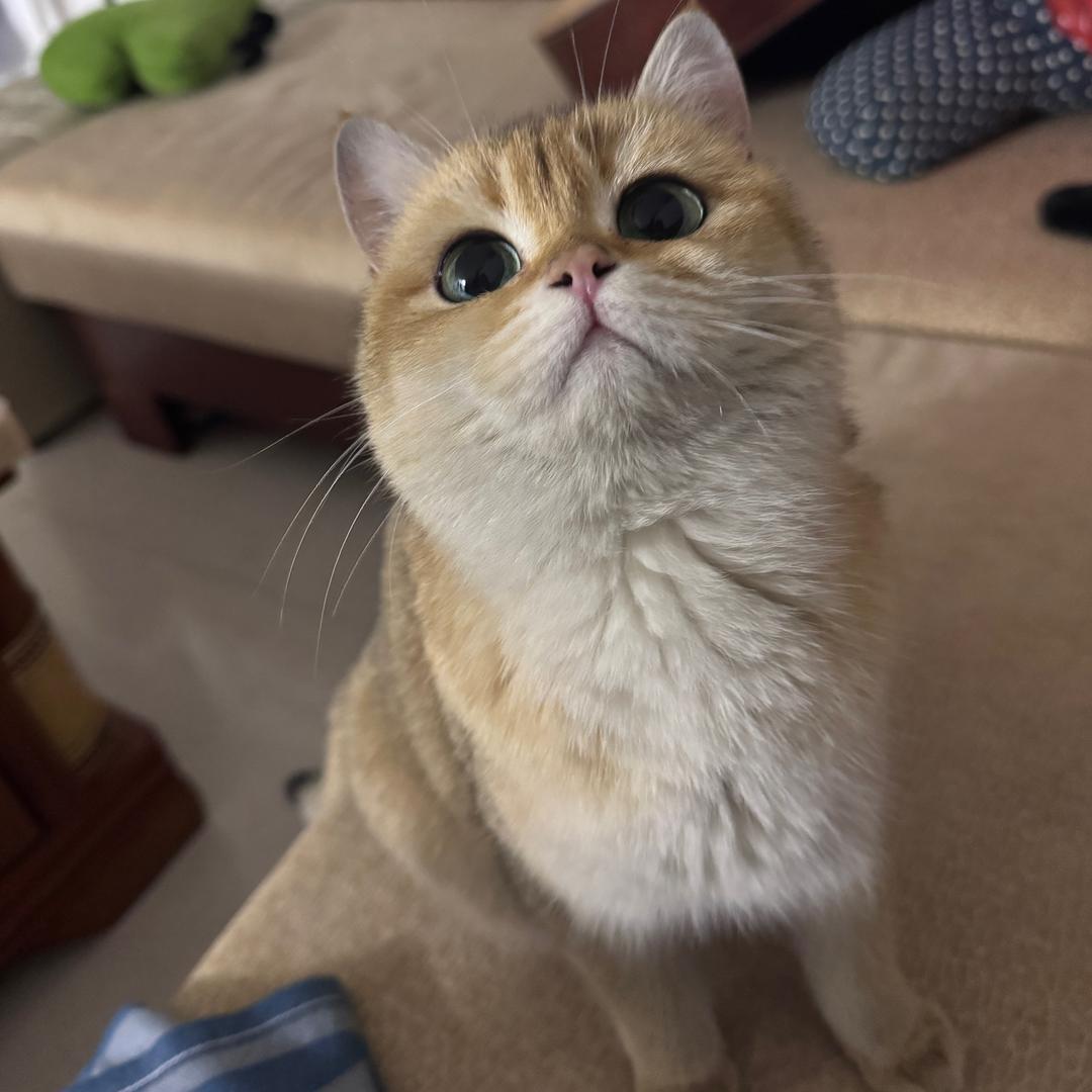 一十八